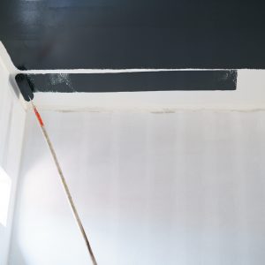 10. Cat Plafon Ceiling
